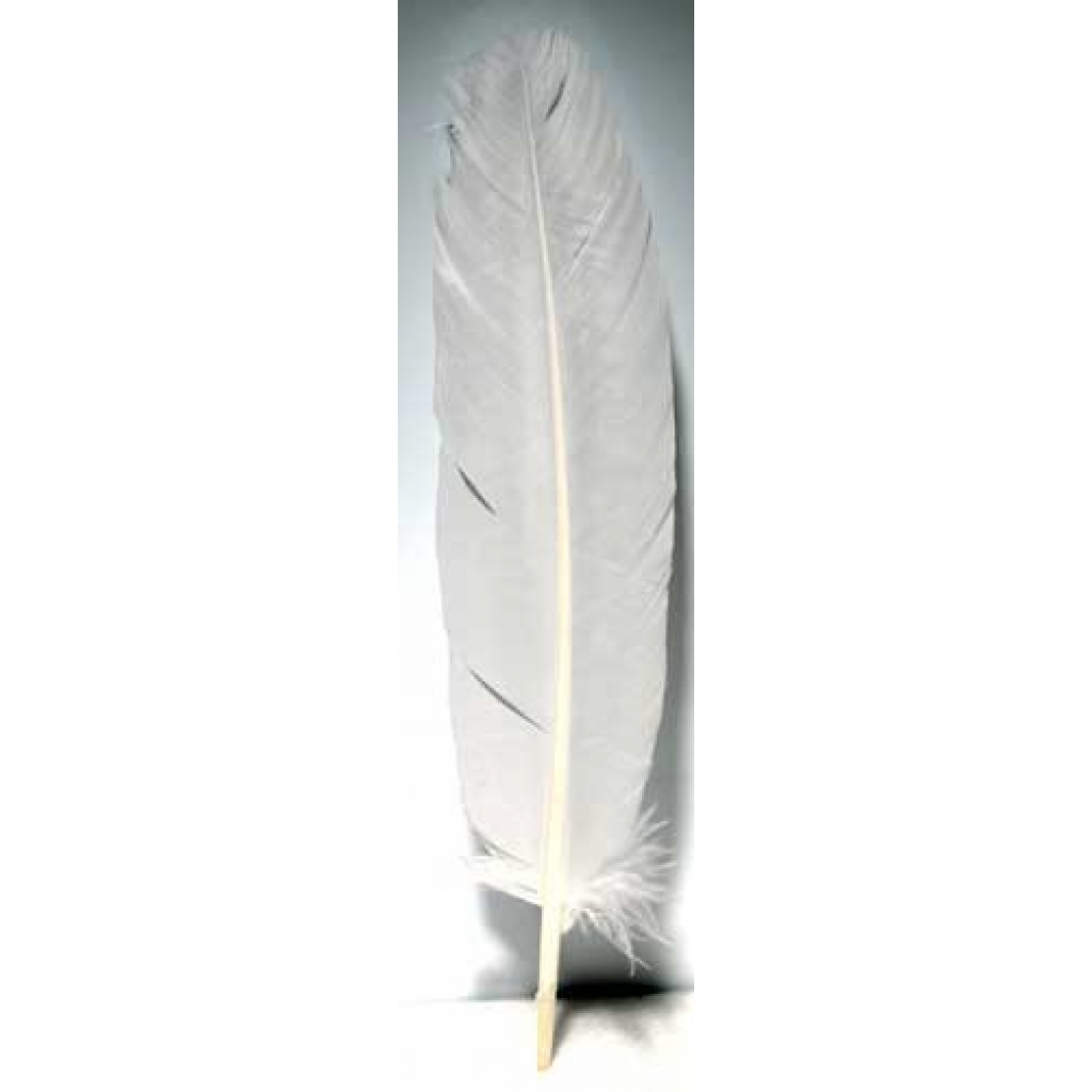 Set of 10 White Feather - Decorative & Ritual Use