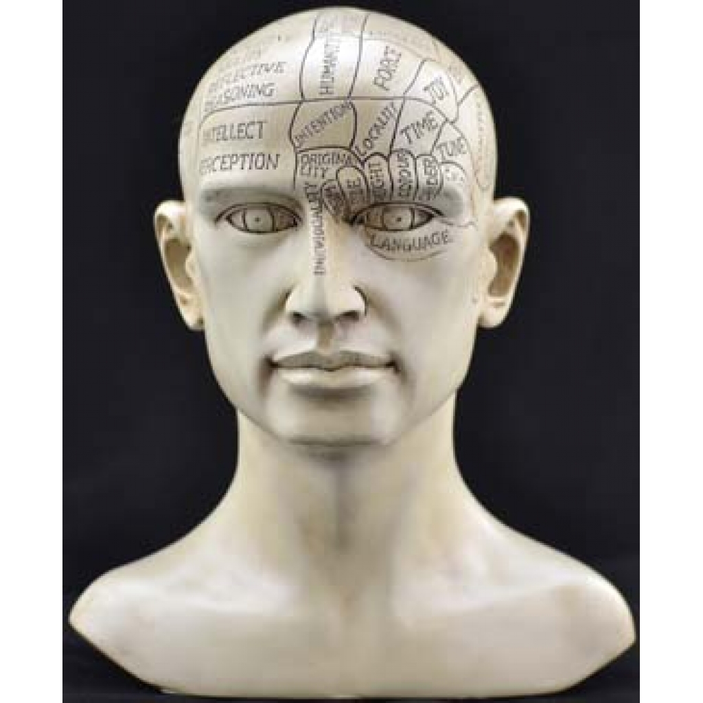 Antiqued Phrenology Head - 8