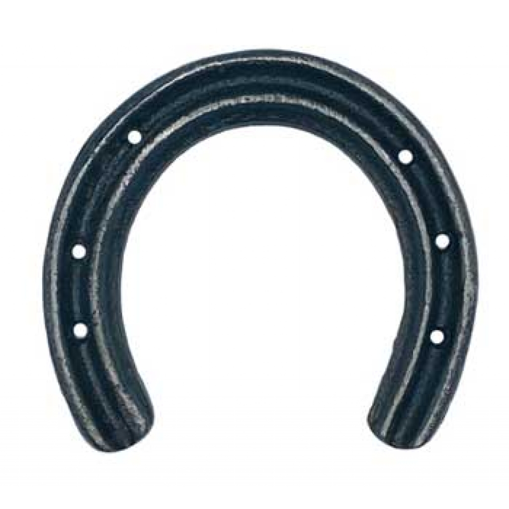 Celtic Good Luck Horseshoe - Protection Symbol