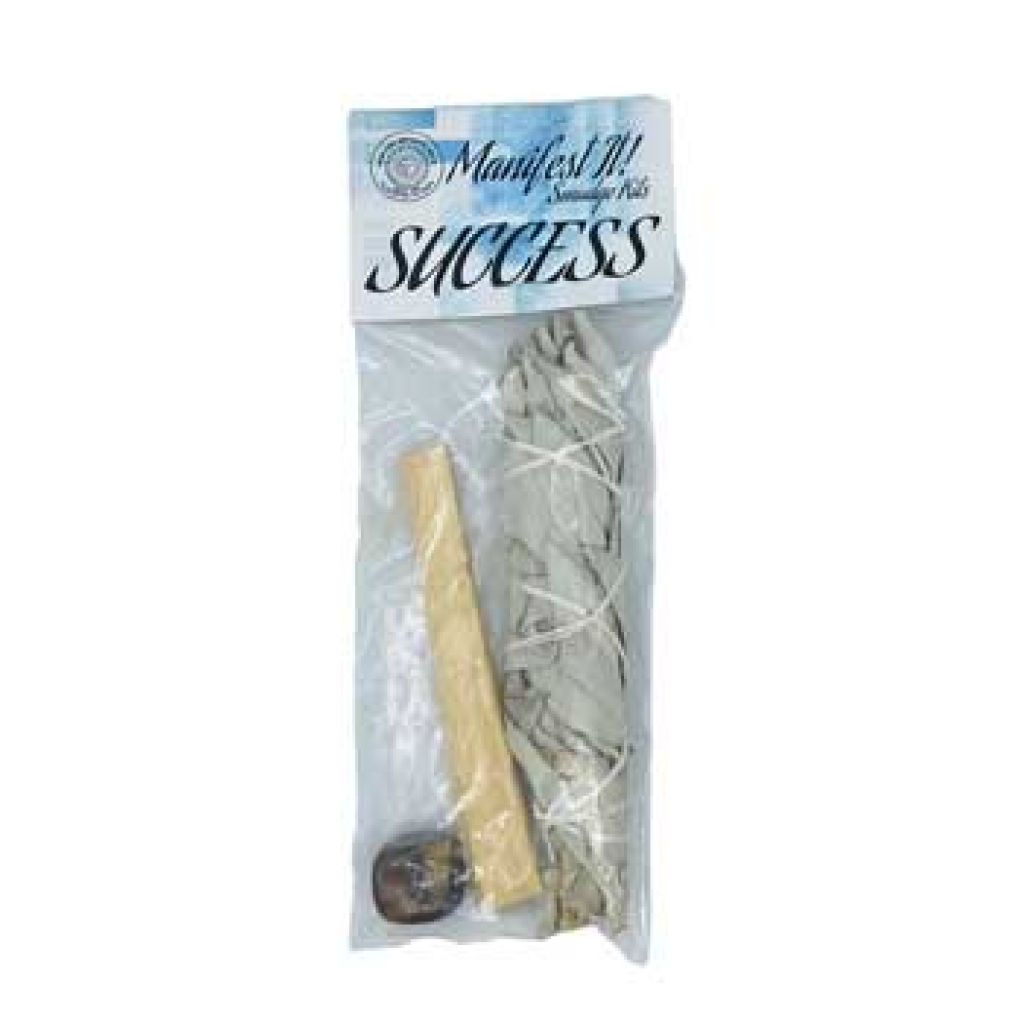 Manifest It Success Smudge Kit with Tiger Eye