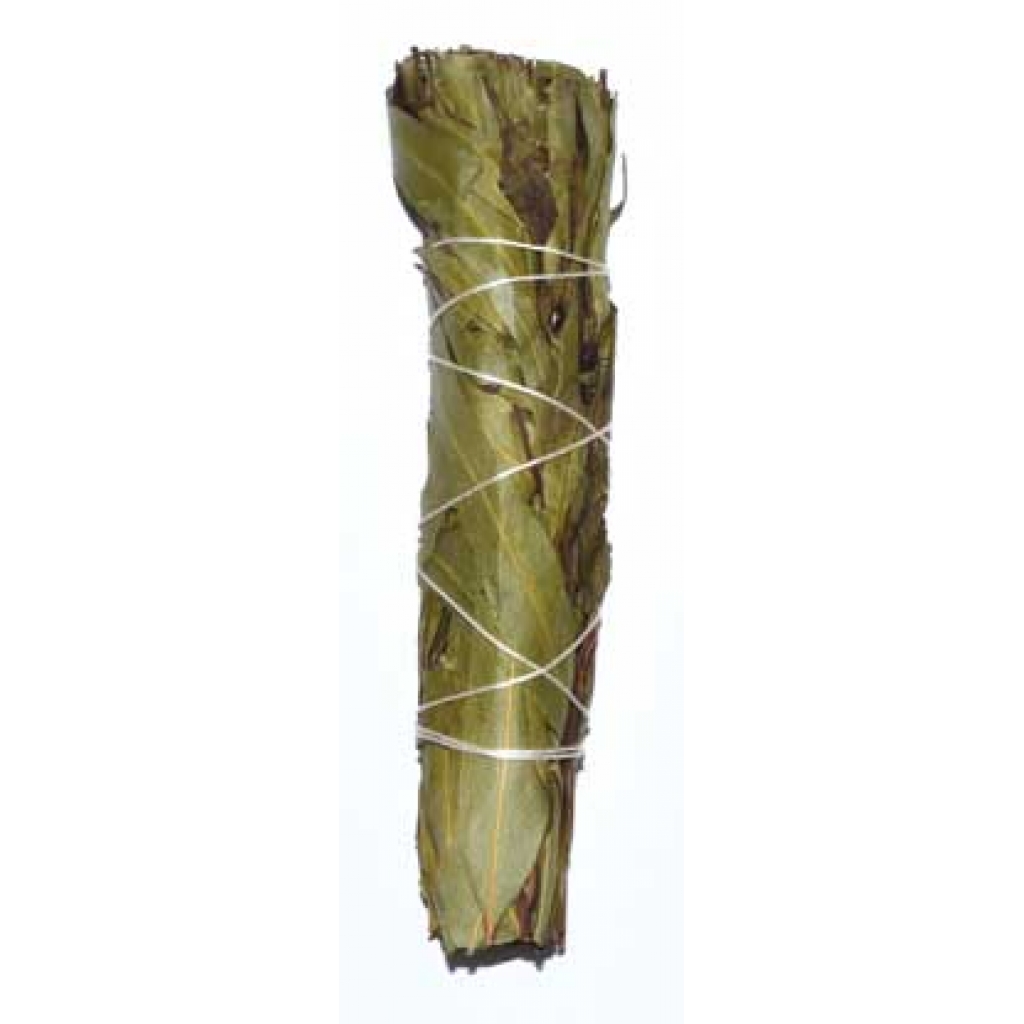 Eucalyptus Citriodora Smudge Stick - 4