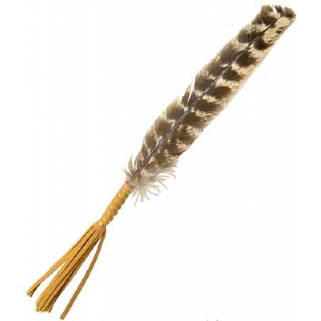 Leather Wrapped Smudging Feather - Set of 2 (10