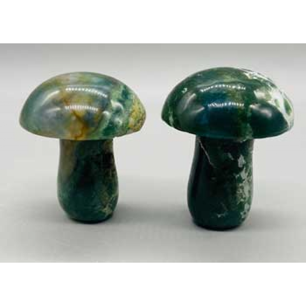 Set of 2 Mushroom Moss Agate