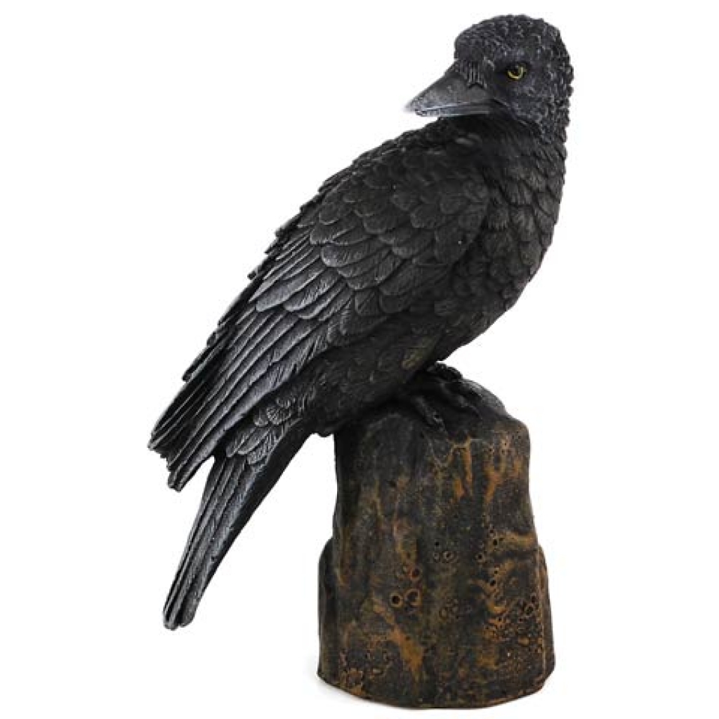 Backward Looking Raven - Elegant Black Bird Statue