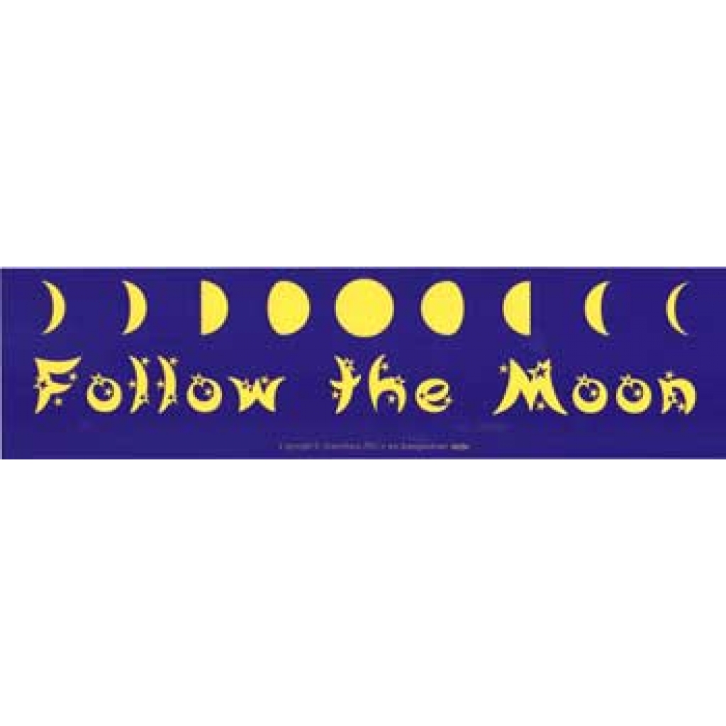 Follow the Moon Decorative Wall Art