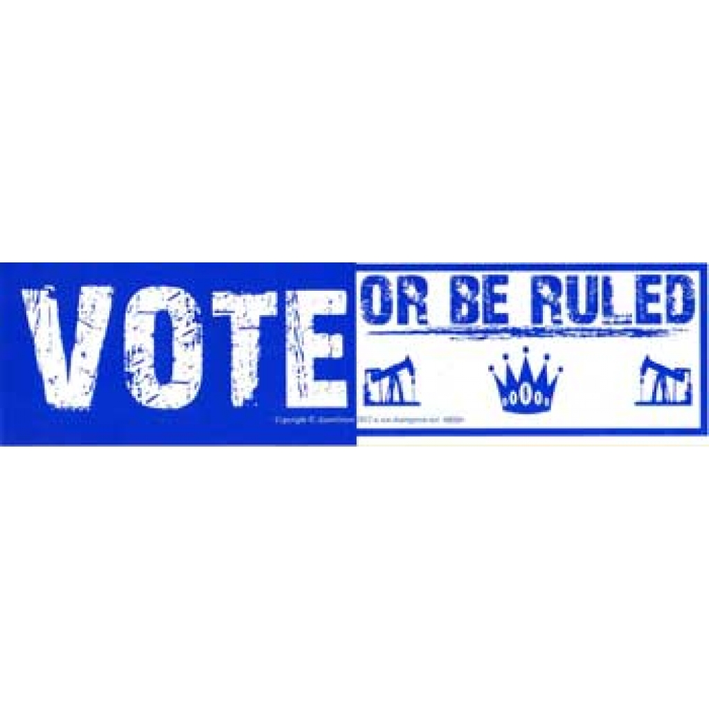 Vote or Be Ruled Art Piece