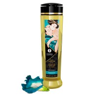 Shunga Sensual Massage Oil 240ml