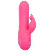 Vibrador Dual Sacramento Sweetie para Placer Supremo