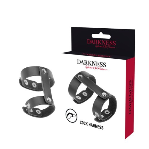 Darkness - Anillo Pene y Testículos Ajustable para Placer Extremo