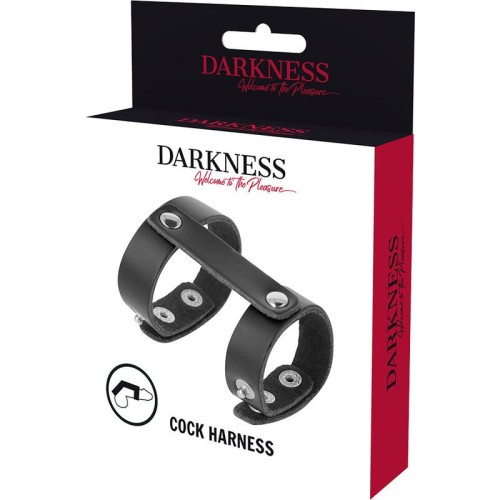 Darkness Adjustable Penis and Testicles Ring for Ultimate Pleasure