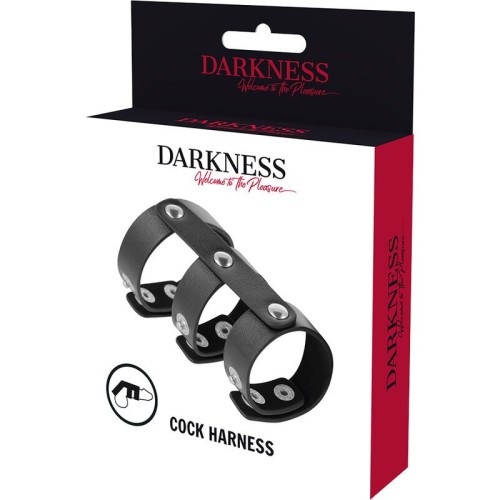 Darkness Adjustable Double Penis and Testicles Ring