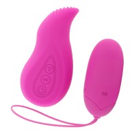 Edgar Dual Remote Egg & Vibrator Set