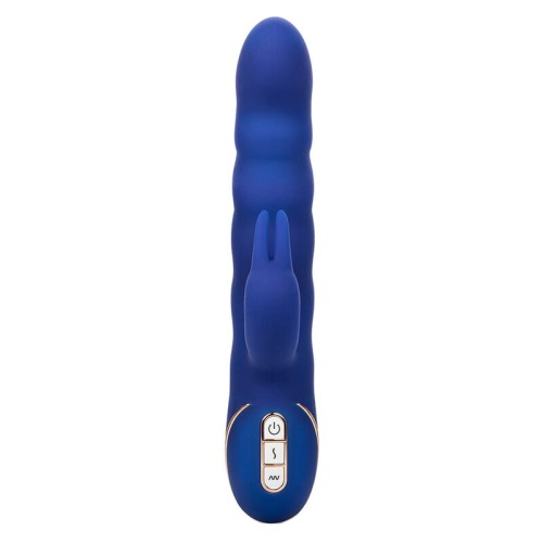 Jack Rabbit Wave Motion Vibrator