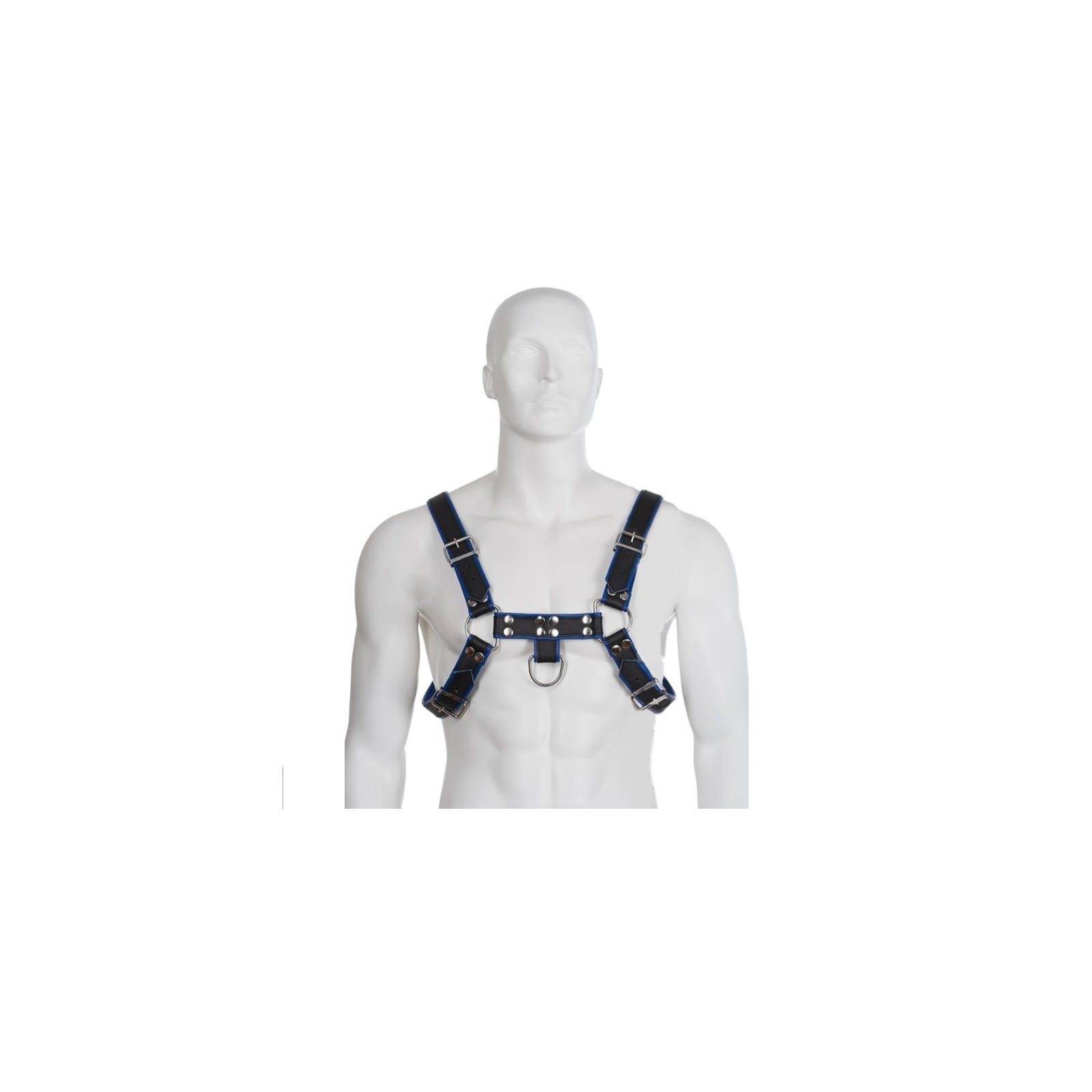 Blue and Black Chest Bulldog Harness - BDSM Experience