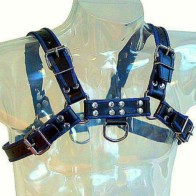 Arnes Cuero Azul Y Negro Chest Bulldog - Experiencia BDSM