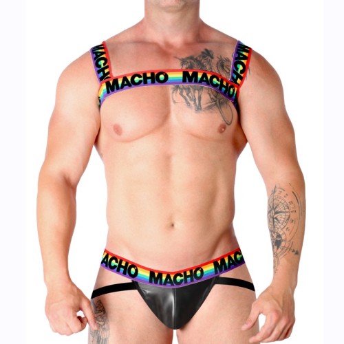 Macho Arnes Doble Pride Limited