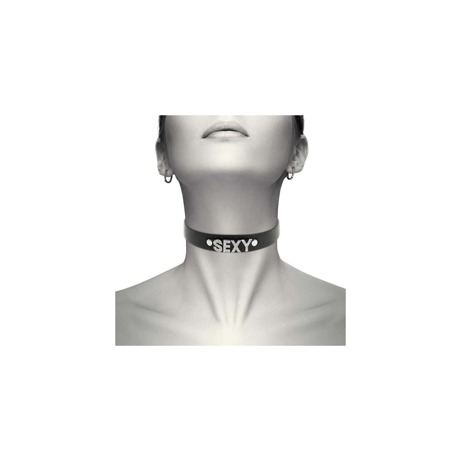 Coquette Chic Desire Vegan Leather Fetish Choker