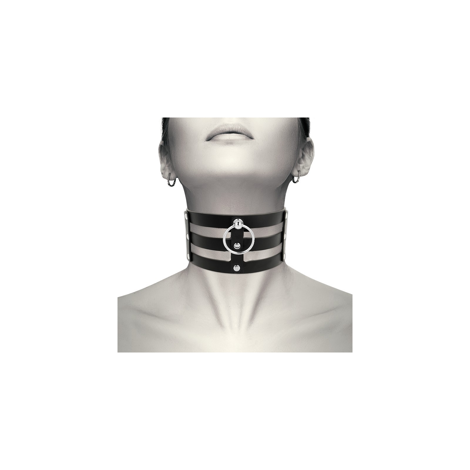 Coquette Chic Desire Choker | Bold Fetish Accessory