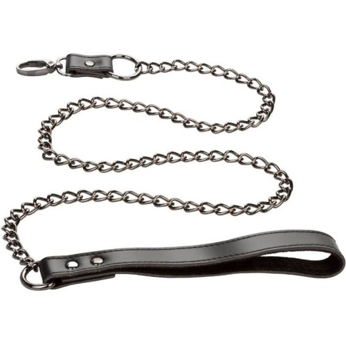 Euphoria Collar with Chain Leash for BDSM Play