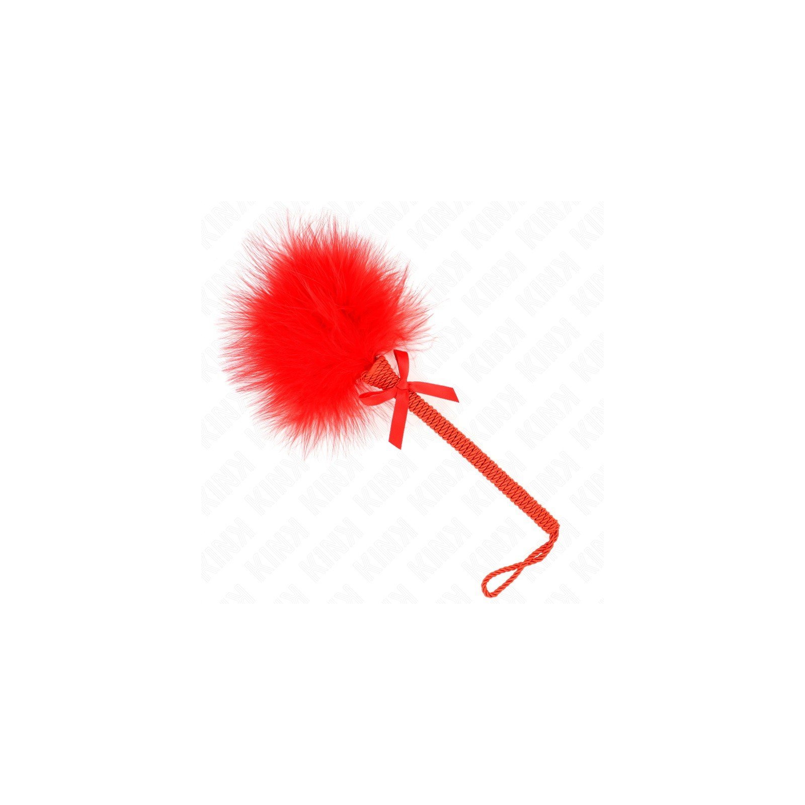 Kink Nylon Whip and Feather Duster - BDSM Essentials