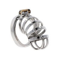 Extreme Metal Chastity Cage