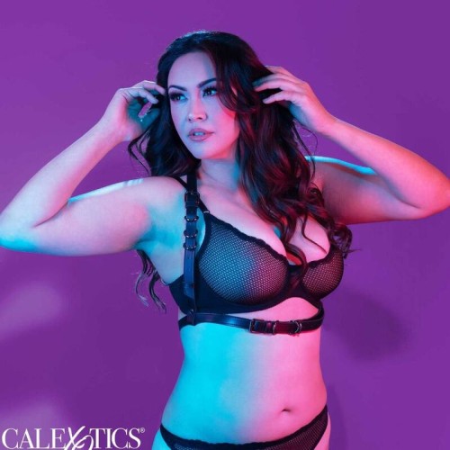 Euphoria Plus Size Halter Harness Black