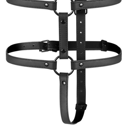 Adjustable Torso and Arms Harness