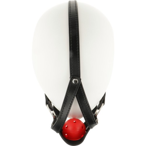 Open Mouth Head Harness in Black Leather