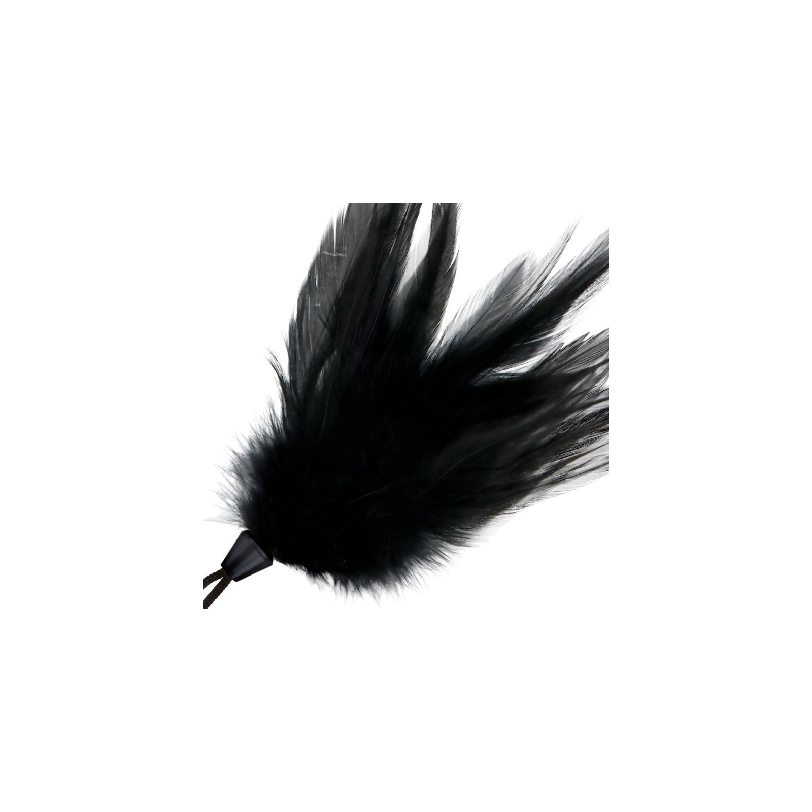 Darkness Stimulating Feather for Sensual Fun