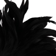 Darkness Feather Stimulator Black Lux