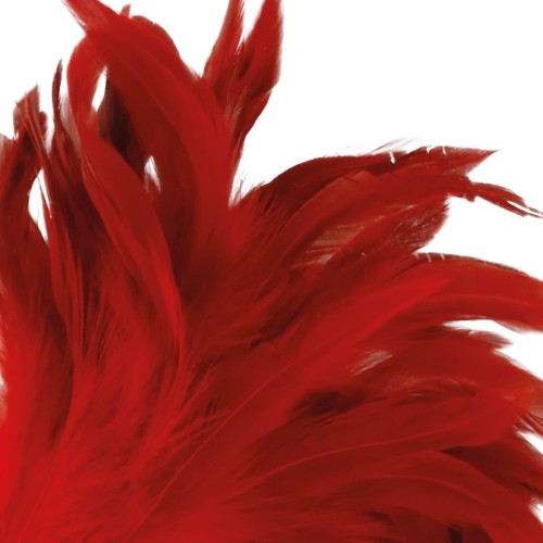 Darkness Red Stimulating Feather - Sensory Play