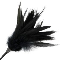 Darkness Riding Crop with Feather