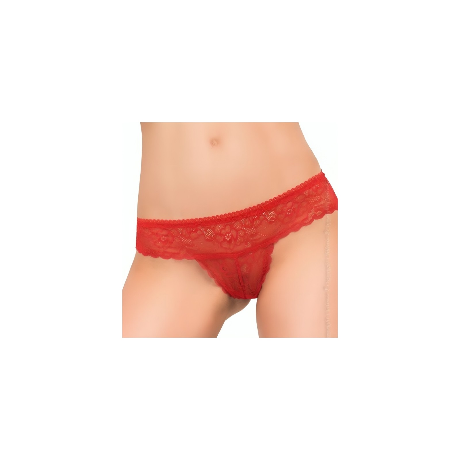 Chilirose CR 3853 Panties Sexys Rojas