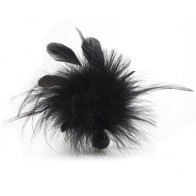 Bijoux Plume Feather Duster for Sensual Exploration