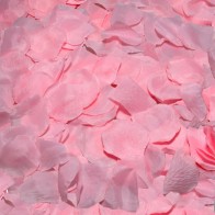 100 Pink Petals for Romantic Surprises