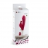 Vibrador con Conejito Rampante - Pretty Love Flirtation