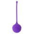 Intense Kisha Fit One Silicone Kegel