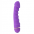 Vibrador Intense Sally 20 Velocidades Silicona Lila