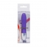 Vibrador Discretion Lila