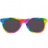 Gafas de Sol Bandera LGBT