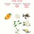 EOL Phr Perfume Deluxe - One Love 50 ml