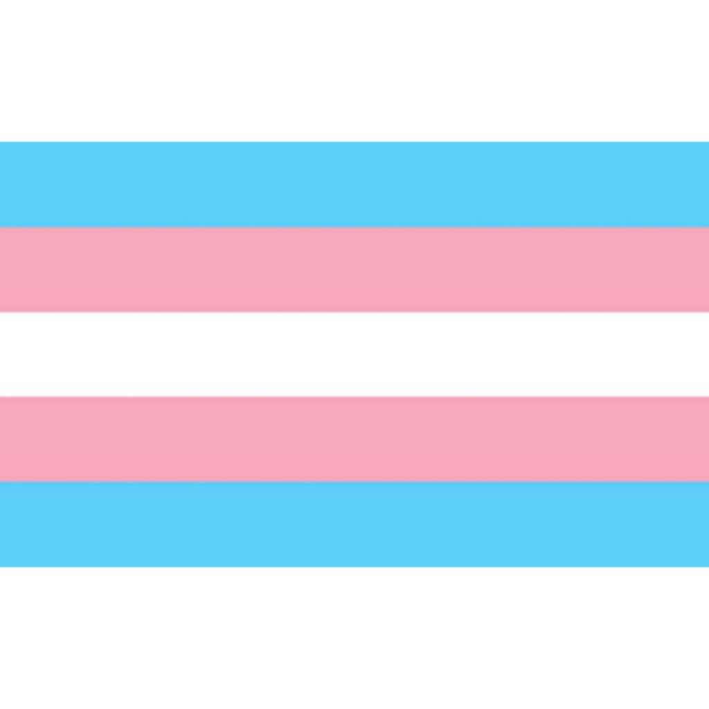 Bandera Transexual 90 X 150 cm