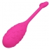 Huevo Vibrador Pescador Controlado por App - Pretty Love