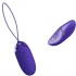 Pretty Love Berger - Huevo Vibrador Control Remoto Violeta