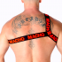 Arnés Romano Macho - Color Rojo - Talla S/M