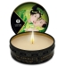 Shunga Mini Caress By Candelight Vela Masaje Té Verde 30 Ml