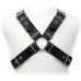  Buckles Harness