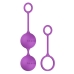  Bfit Basic Kegel Balls Orchid