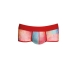 Anais Men Falcon Boxer Brief L