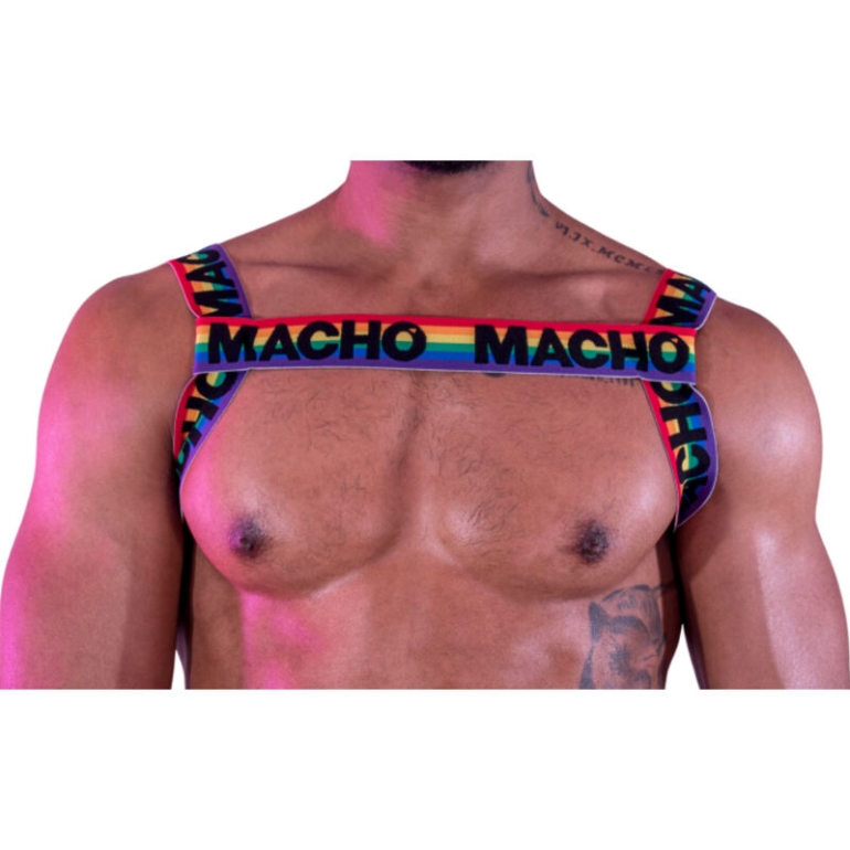 Macho Arnés Doble Pride Limited